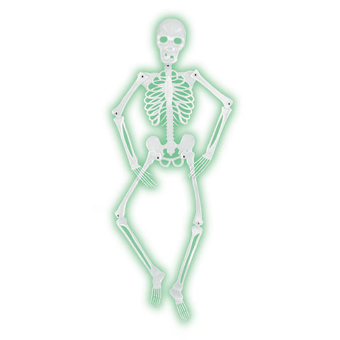 Mr Bones-A-Glo Skeleton, Size 5'