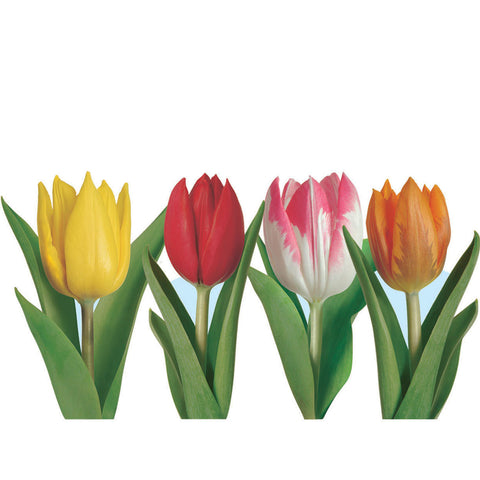 Pkgd Tulip Recortes, Size 16"-16½"