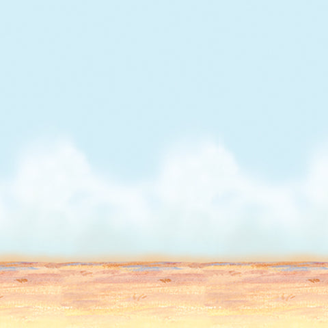 Desert Sky & Sand Backdrop, Size 4' x 30'
