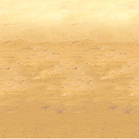 Desert Sand Backdrop, Size 4' x 30'