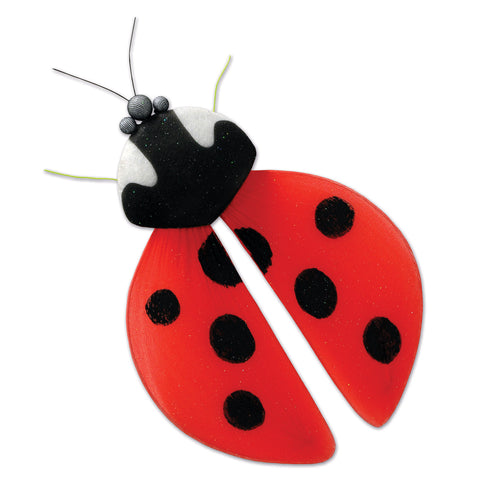 Nylon Ladybug, Size 9½"